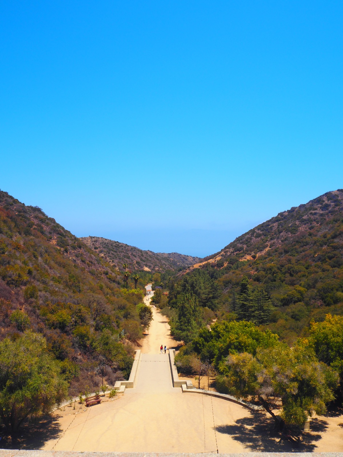 Restore Law recovery